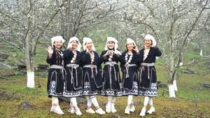 Lễ hội hoa lê Hồng Thái - điểm hẹn mùa Xuân vùng cao Tuyên Quang