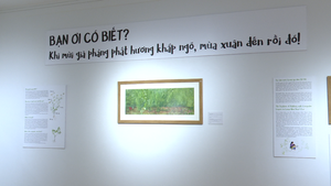 "A, Xuân đây rồi!" - Không gian xuân bước ra từ trang sách