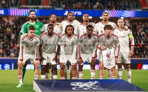 Link xem trực tiếp bóng đá Brentford vs Liverpool 21h00 hôm nay, Ngoại hạng Anh