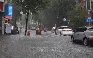 TP. Hồ Chí Minh: Dự báo triều cường vượt báo động III, nguy cơ ngập kéo dài 