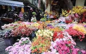 Chợ hoa tết Hàng Lược - không gian mang đậm không khí Tết của Hà Thành