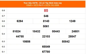 XSTN 19/2 - Kết quả xổ số Tây Ninh hôm nay 19/2/2026 - Trực tiếp XSTN ngày 19 tháng 2