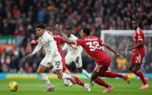 Nhận định, soi tỷ lệ Nottingham Forest vs Liverpool 21h00 ngày 22/02, Premier League