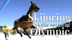 Skijoring và giấc mơ trở lại Olympic mùa Đông