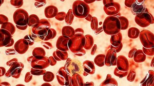 WHO: Có thể phòng ngừa tới 40% số ca ung thư trên toàn cầu