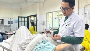 Hiểm họa chó thả rông: Cụ bà 75 tuổi nhập viện cấp cứu 