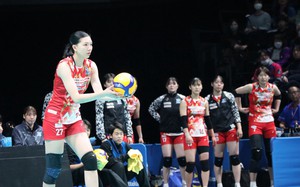 Lịch thi đấu bóng chuyền hôm nay ngày 8/2/2026