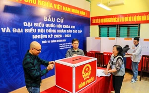 Bầu cử Quốc hội và HĐND: Ứng dụng “Bản đồ số” hỗ trợ thông tin bầu cử