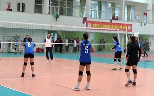 Link xem trực tiếp bóng chuyền cúp Hoa Lư 2026 ngày hôm nay 18/3