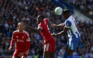 Kết quả bóng đá: Vắng Salah, Liverpool nhận thất bại trước Brighton