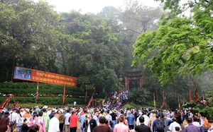 Giỗ tổ Hùng Vương 2026: Lần đầu có triển lãm mỹ thuật quốc tế, thêm loạt trải nghiệm về đêm