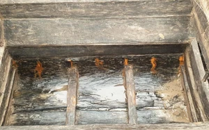 Nhìn lại 1 năm phát hiện cặp thuyền gỗ trên sông Dâu cổ