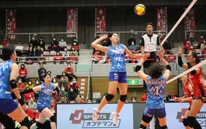 Lịch thi đấu bóng chuyền hôm nay ngày 10/3/2026