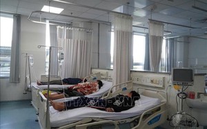 Xử phạt cửa hàng bánh mì gây ngộ độc thực phẩm ở Vũng Tàu