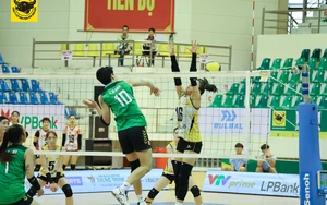 Link xem trực tiếp bóng chuyền VĐQG 2026 hôm nay ngày 16/4