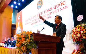 VMMAF: Cá cược trái phép là vi phạm pháp luật, phải kiên quyết xử lý