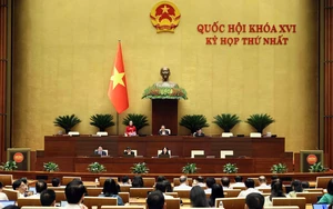 Kỳ họp thứ Nhất, Quốc hội khóa XVI: Hoàn thiện các quy định về thí điểm cơ chế chính sách phát triển văn hóa