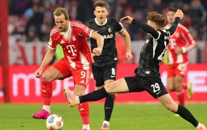 Nhận định Freiburg vs Bayern Munich 20h30 ngày 4/4, vòng 28 Bundesliga