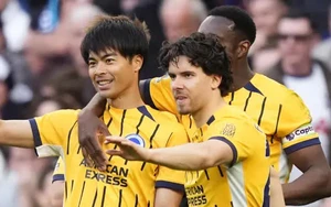 Nhận định Newcastle vs Brighton 21h00 ngày 02/05, Premier League