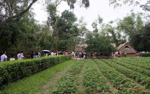 Lan tỏa giá trị văn hóa, lịch sử Di tích Kim Liên trong kỷ nguyên số