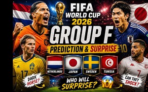 Lịch thi đấu World Cup 2026 - Bảng F