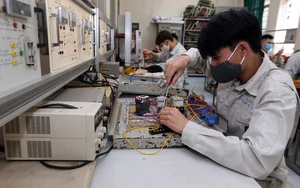 Quy định kiến thức văn hóa giáo dục phổ thông trong chương trình đào tạo các ngành, nghề đặc thù