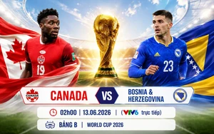 Link trực tiếp bóng đá World Cup 2026 trên VTV hôm nay 12/6
