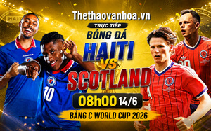 Link trực tiếp bóng đá World Cup 2026 trên VTV hôm nay 14/6
