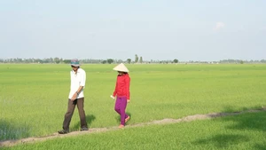 Người thầy gieo chữ và hành trình giữ màu xanh cho đồng ruộng