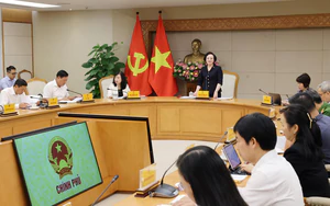 Phó Thủ tướng Phạm Thị Thanh Trà chủ trì họp sơ kết công tác an toàn thực phẩm