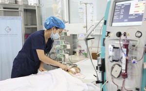 Bé trai 15 tháng tuổi suy đa tạng, sốc nhiễm độc vì 60 vết ong vò vẽ đốt