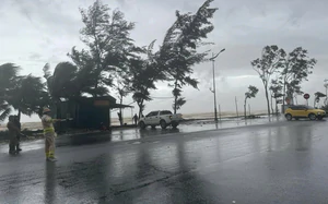 Chủ động ứng phó với mưa lớn, lốc, sét, mưa đá, lũ quét, gió mạnh trên biển khu vực Trung và Nam Bộ