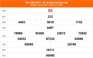 XSVT 11/8 - Kết quả xổ số Vũng Tàu hôm nay 11/8/2026 - Trực tiếp XSVT ngày 11 tháng 8