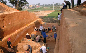 Cổ Loa trong "dòng chảy" thành lũy Việt Nam