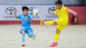 SLNA gặp HVL Sơn La ở chung kết giải bóng đá U9 toàn quốc Toyota Cup 2026