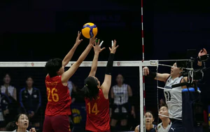 Link xem trực tiếp bóng chuyền nữ châu Á 2026 hôm nay ngày 24/8: Việt Nam vs Nhật Bản