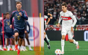 Nhận định Bayern Munich vs Stuttgart (01h30, 29/8), vòng 1 Bundesliga 2026/27: Hùm xám gầm vang