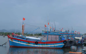 Đà Nẵng thông tin về việc tìm kiếm, cứu nạn tàu cá QNa-90859-TS
