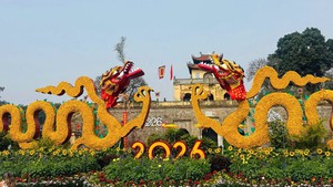 Không chỉ vé vào cửa, Hà Nội miễn phí cả phương tiện công cộng phục vụ du khách dịp Quốc khánh 2/9