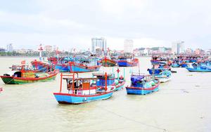 Ứng phó với áp thấp nhiệt đới trên biển Đông: Quản lý chặt chẽ các phương tiện ra khơi