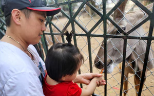 Hà Nội nghiên cứu mô hình công viên động vật bán hoang dã tại ngoại thành