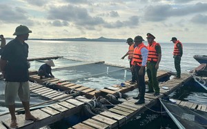 Chủ động ứng phó với áp thấp nhiệt đới trên Biển Đông 