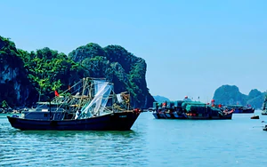 Từ Quảng Ninh đến Đắk Lắk chủ động ứng phó với áp thấp nhiệt đới trên Biển Đông