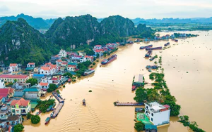 Những lưu ý phòng chống dịch bệnh sau mưa lũ