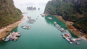 Phó Chủ tịch UBND thành phố Hạ Long: Không có việc 'ngăn sông cấm chợ' trên vịnh Hạ Long