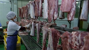 Hà Nội chủ động kiểm soát cơ sở giết mổ bình ổn giá thị trường thịt lợn trước dịch tả lợn châu Phi