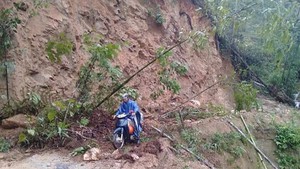 Lần đầu xuất hiện động đất có độ lớn 3,6 tại Quảng Bình