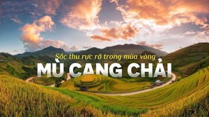 Khám phá Mù Cang Chải mùa lúa chín từ máy bay trực thăng