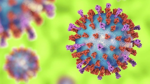 CDC Mỹ cảnh báo số trẻ em nhiễm virus RSV tăng vọt