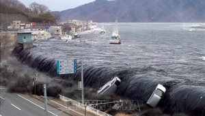 Nhật Bản: Dự báo động đất, sóng thần có thể khiến hàng trăm nghìn người thiệt mạng